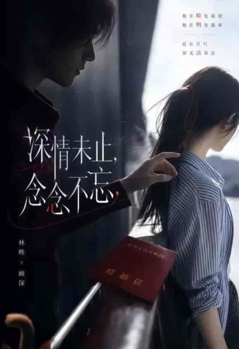 深情未止，念念不忘海报