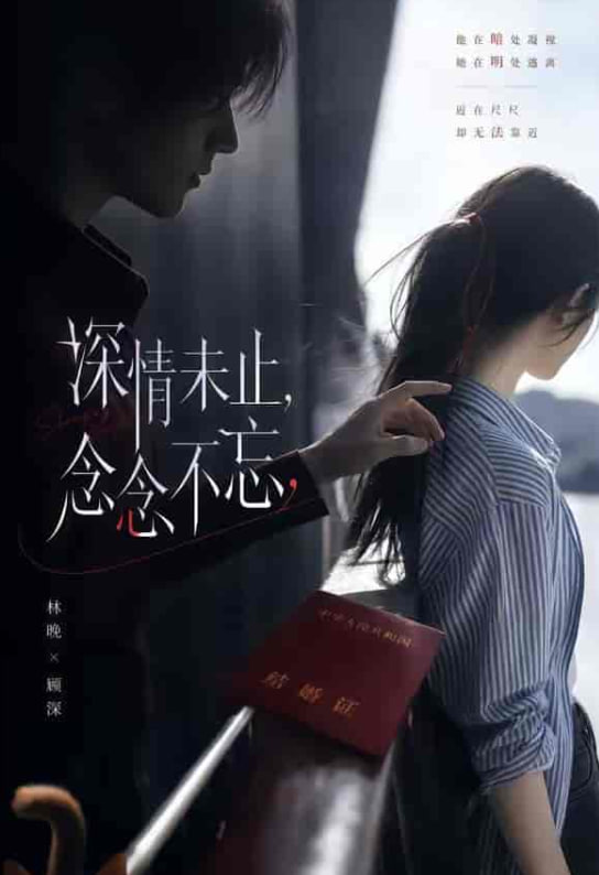 深情未止，念念不忘海报