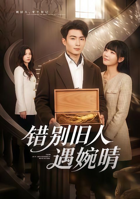 惜别旧人遇婉晴海报