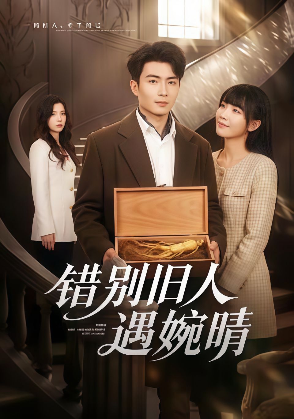 惜别旧人遇婉晴海报
