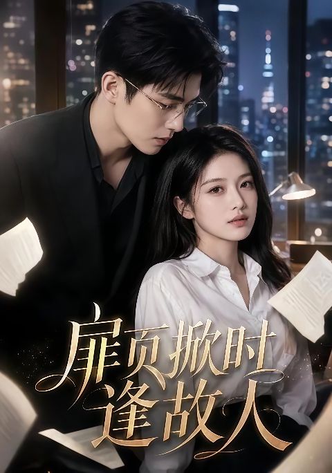 扉页掀时逢故人海报
