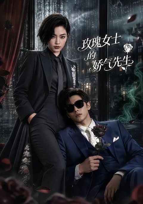 玫瑰女士的娇气先生海报