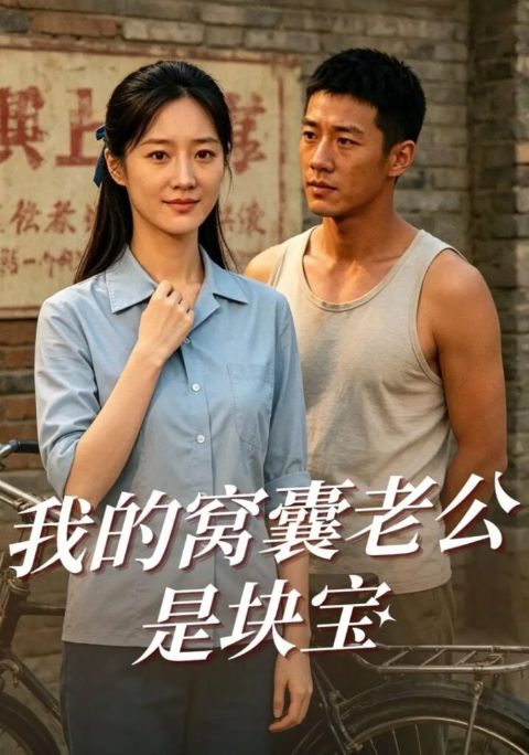 我的窝囊老公是块宝海报