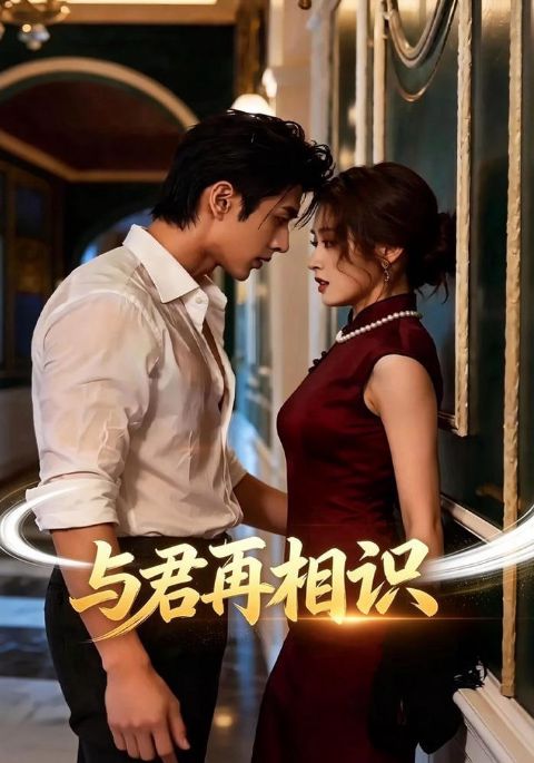 与君再相识海报