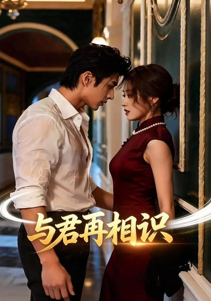 与君再相识海报