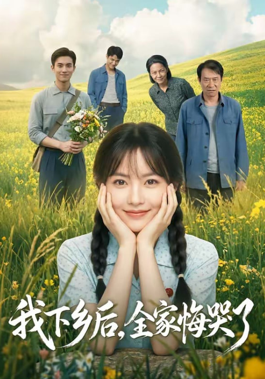 我下乡后，全家悔哭了海报