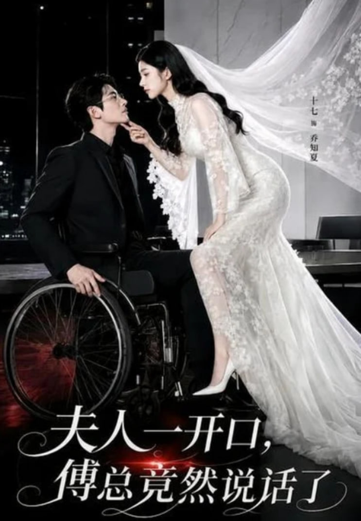 夫人一开口，傅总竟然说话了海报