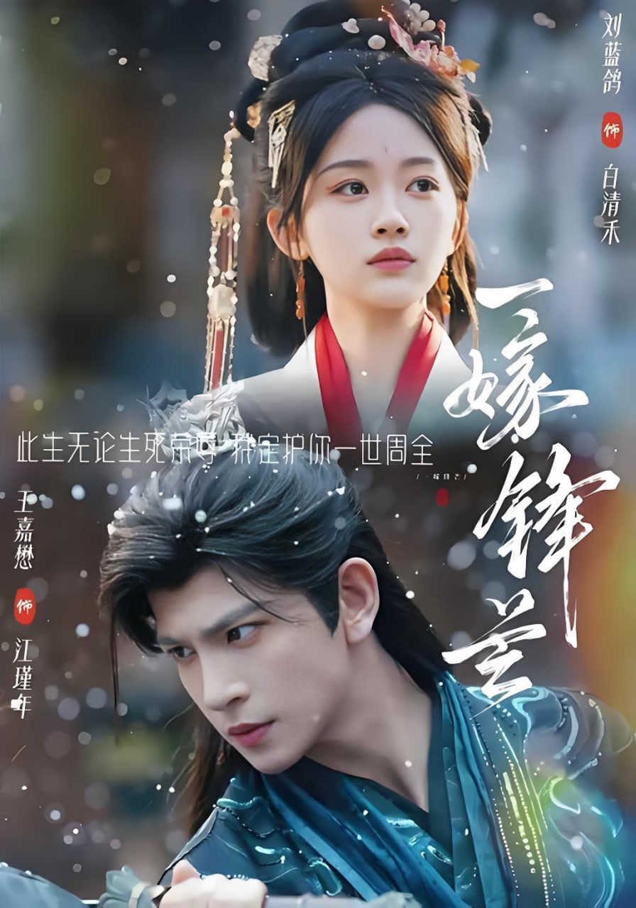 一嫁锋芒海报