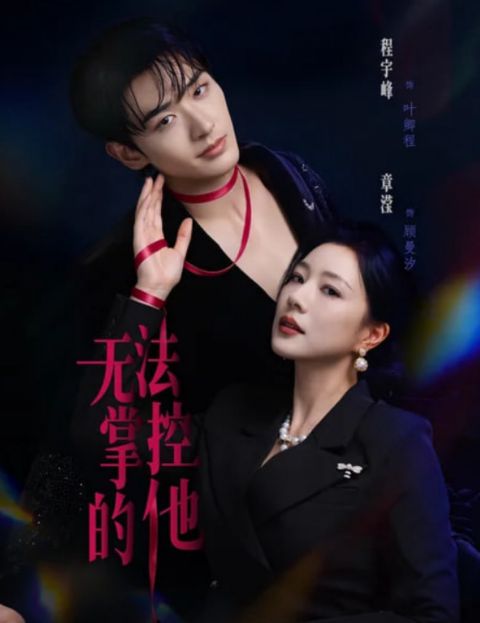 无法掌控的他海报