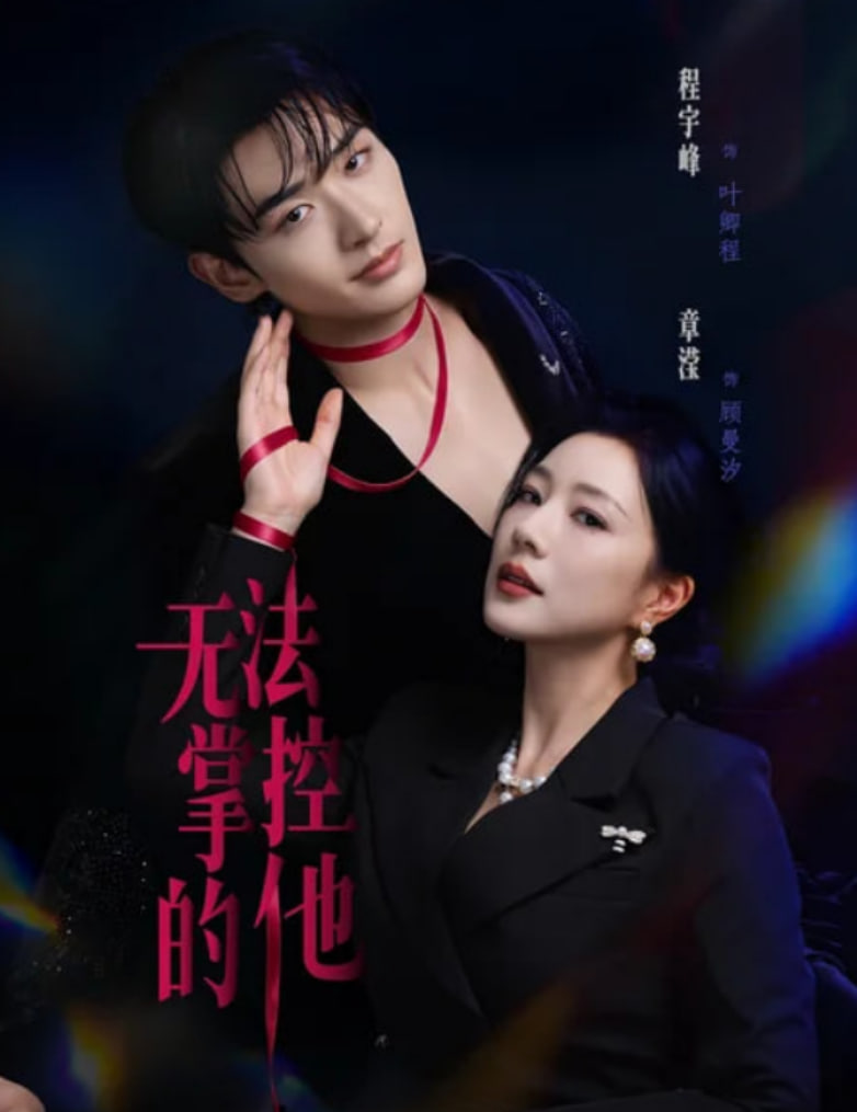 无法掌控的他海报