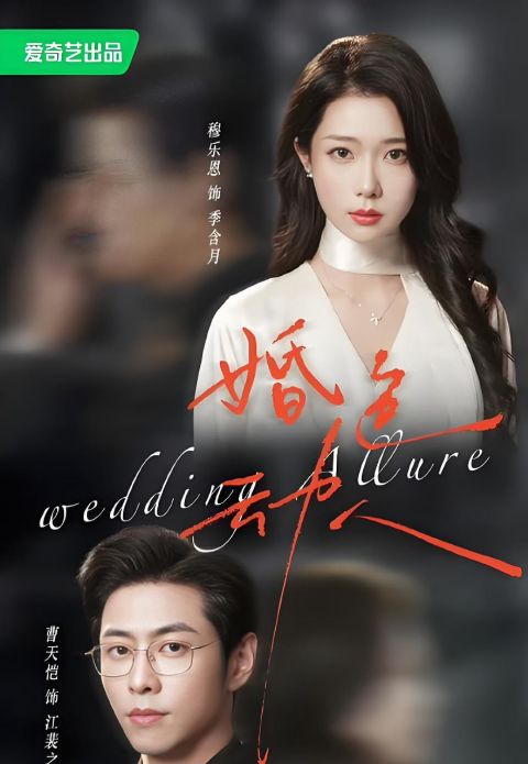 婚色动人海报