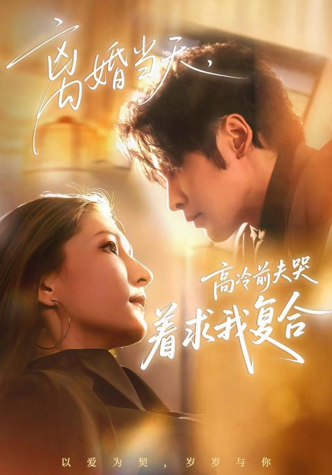 离婚当天，高冷前夫哭着求我复合海报