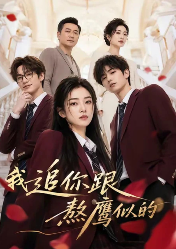 我追你跟熬鹰似的海报