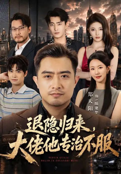 退隐归来，大佬他专治不服海报