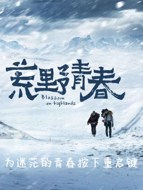 荒野青春海报