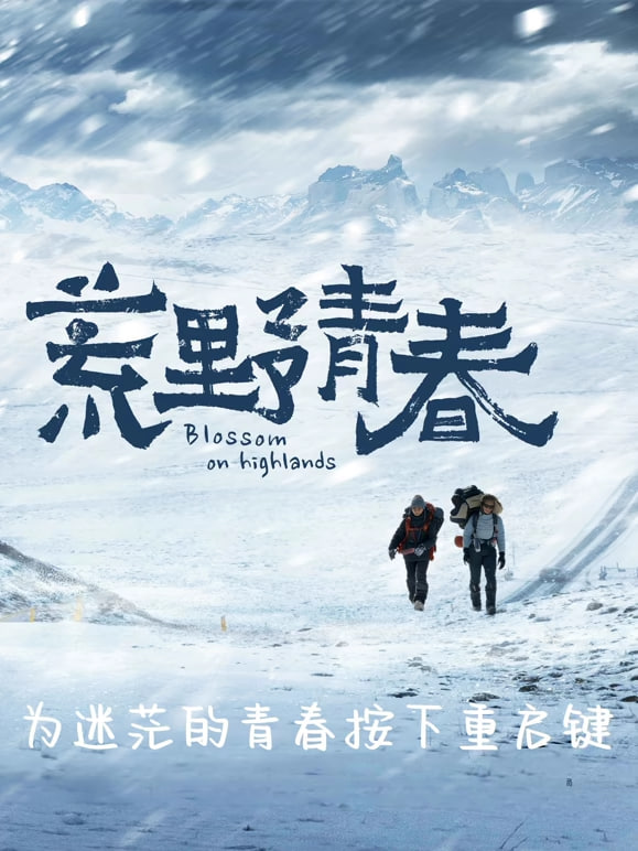 荒野青春海报