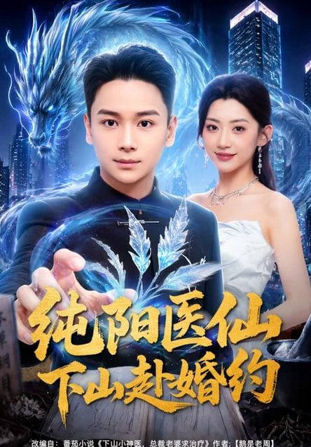 纯阳医仙下山赴婚约海报