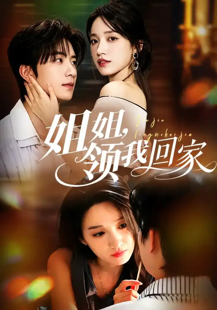 姐姐，领我回家海报