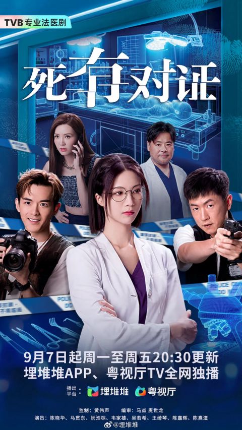 死有对证（国语版）海报