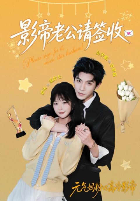 影帝老公请签收海报