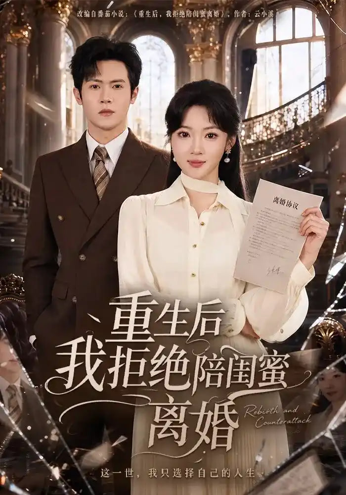 重生后我拒绝陪闺蜜离婚海报