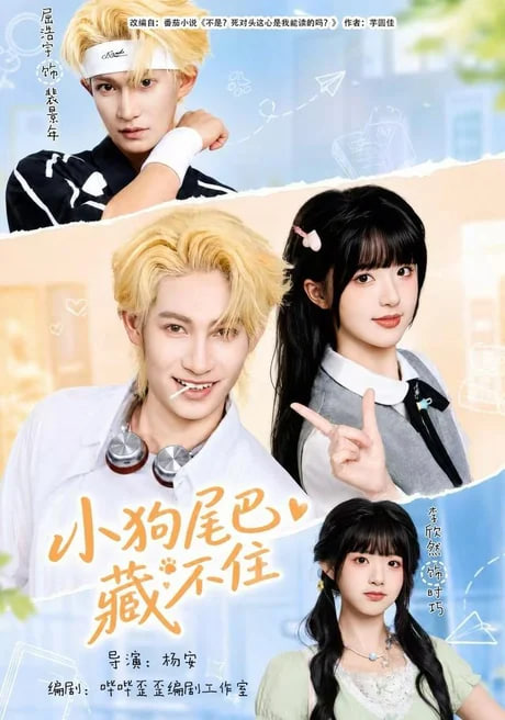 小狗尾巴藏不住海报