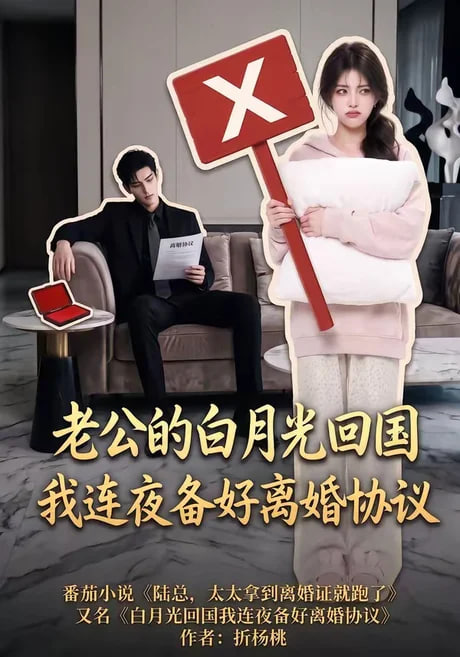 老公的白月光回国我连夜备好离婚协议海报