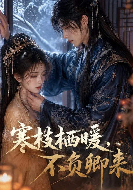 寒枝栖暖，不负卿来海报