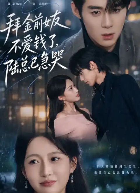 拜金前女友不爱钱了，陆总已急哭海报