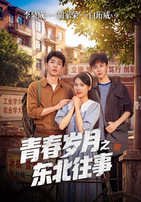 青春岁月之东北往事海报