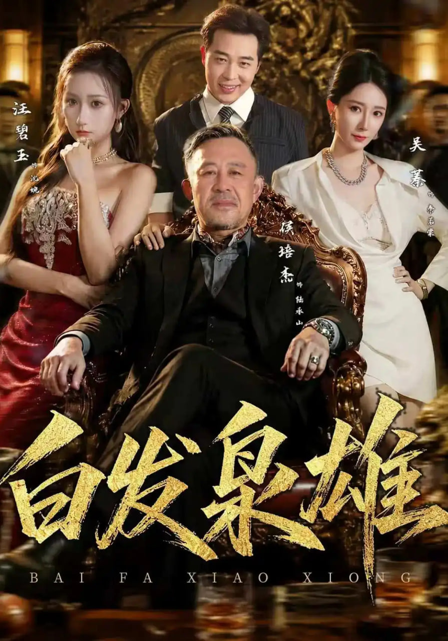 白发枭雄海报