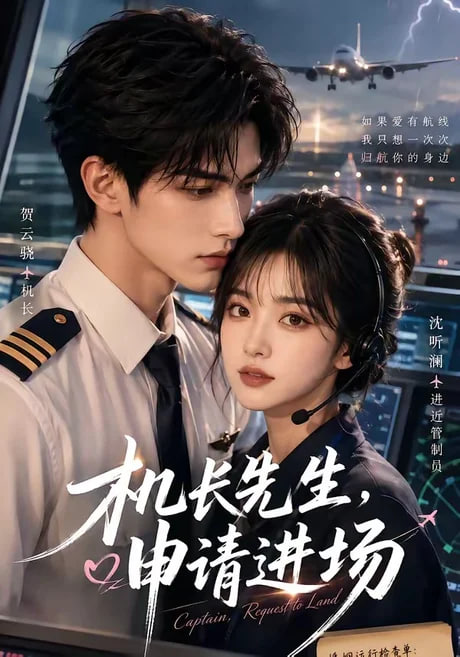 机长先生，申请进场海报