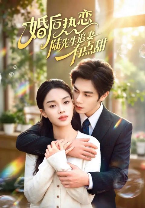 婚后热恋陆先生追妻有点甜海报