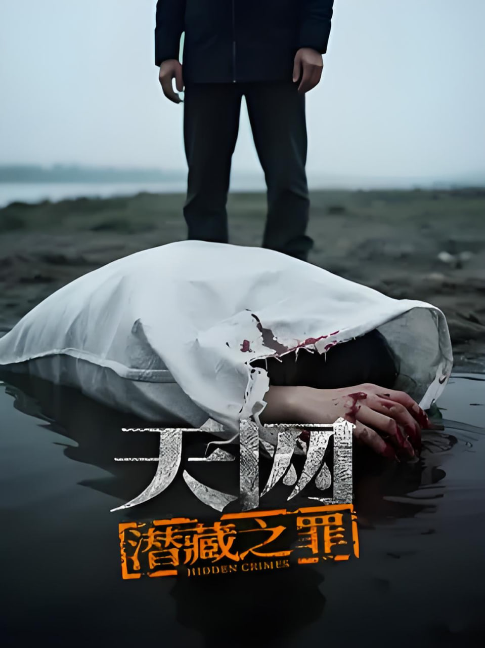 天网：潜藏之罪海报