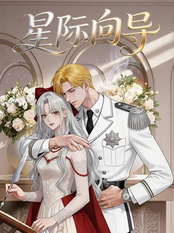 星际向导海报