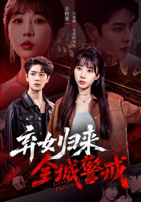 弃女归来，全城警戒海报