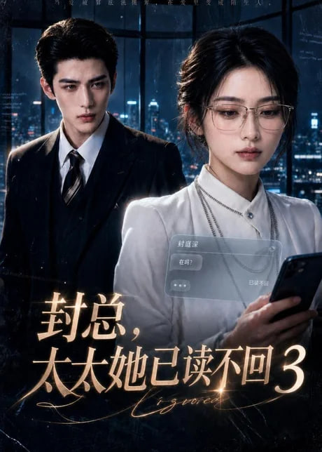 封总，太太她已读不回3海报