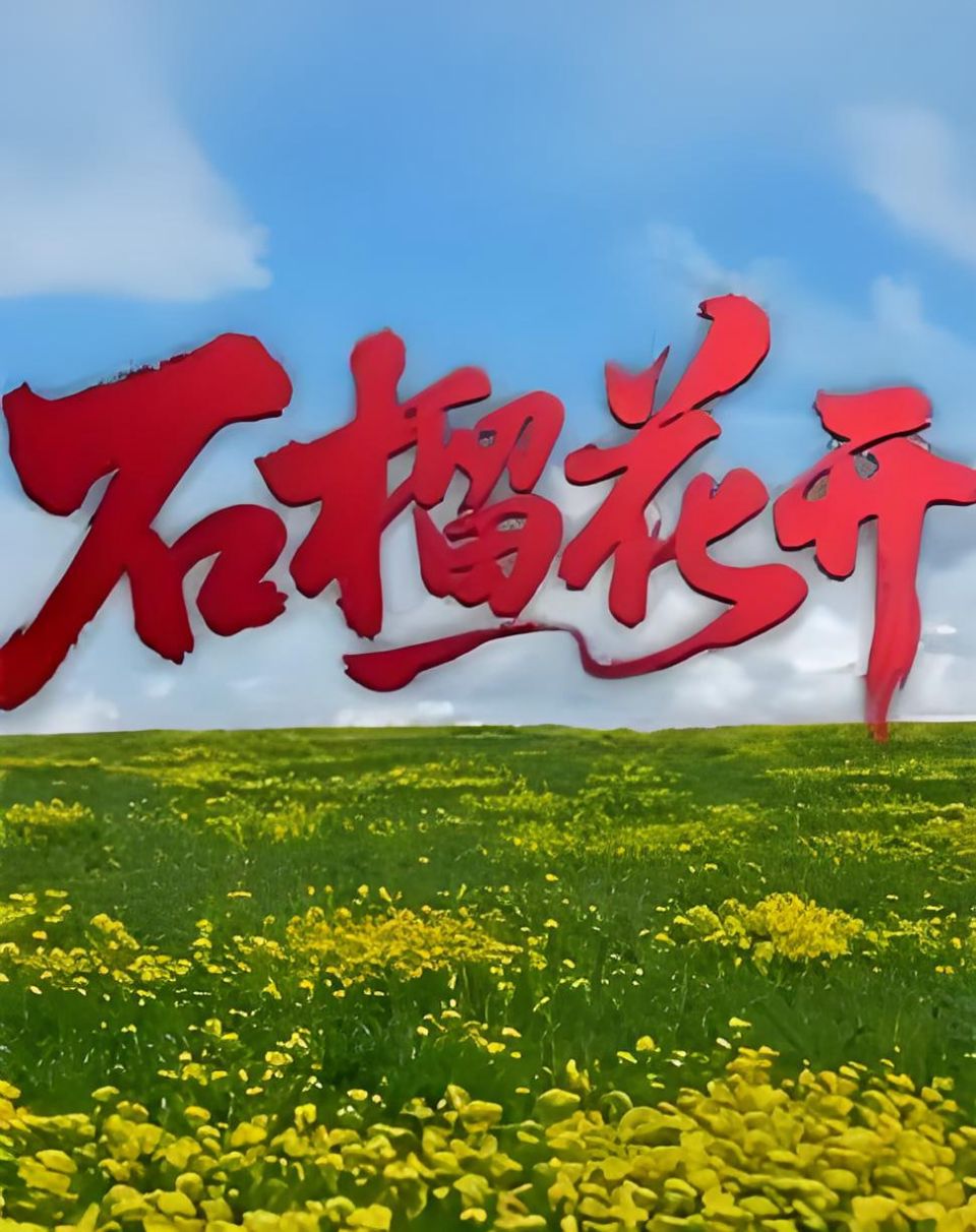石榴花开海报