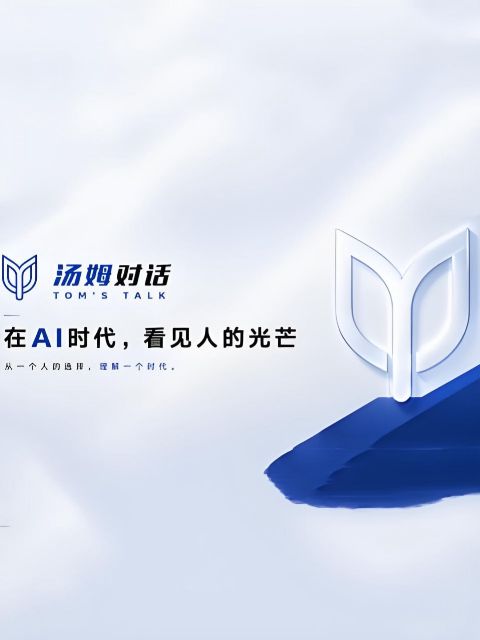 汤姆对话海报