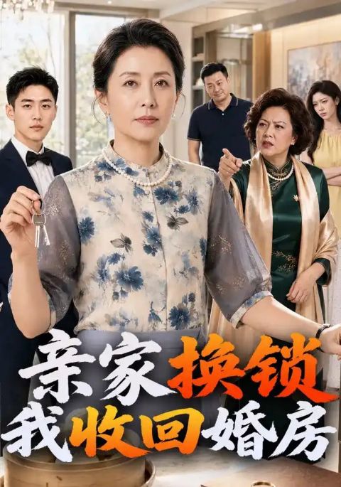 亲家换锁我收回婚房海报