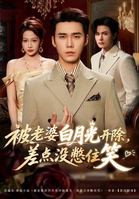 被老婆白月光开除，差点没憋住笑海报