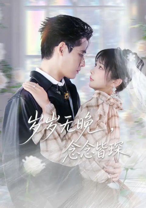 岁岁无晚，念念皆琛海报
