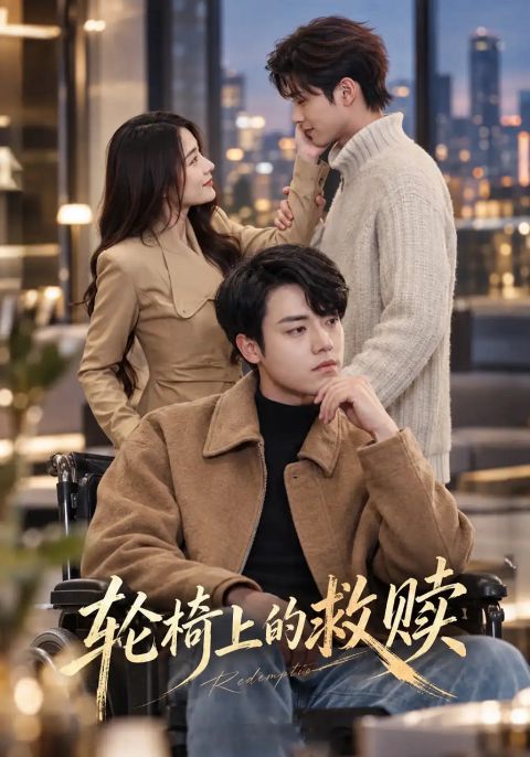 轮椅上的救赎海报