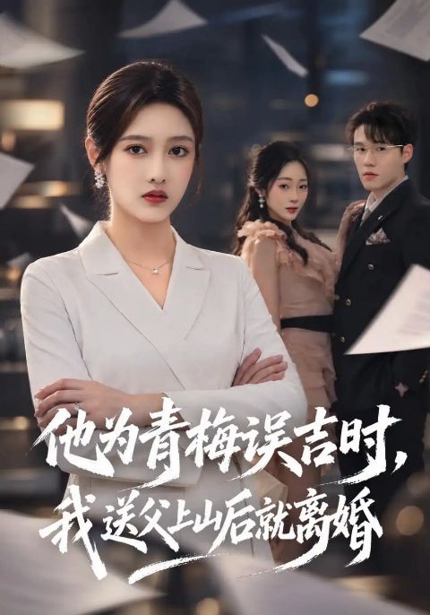他为青梅误吉时，我送父上山后就离婚海报