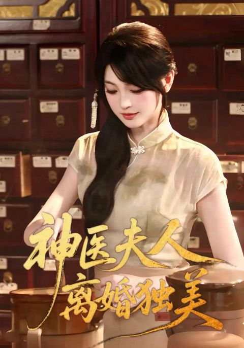神医夫人离婚独美海报
