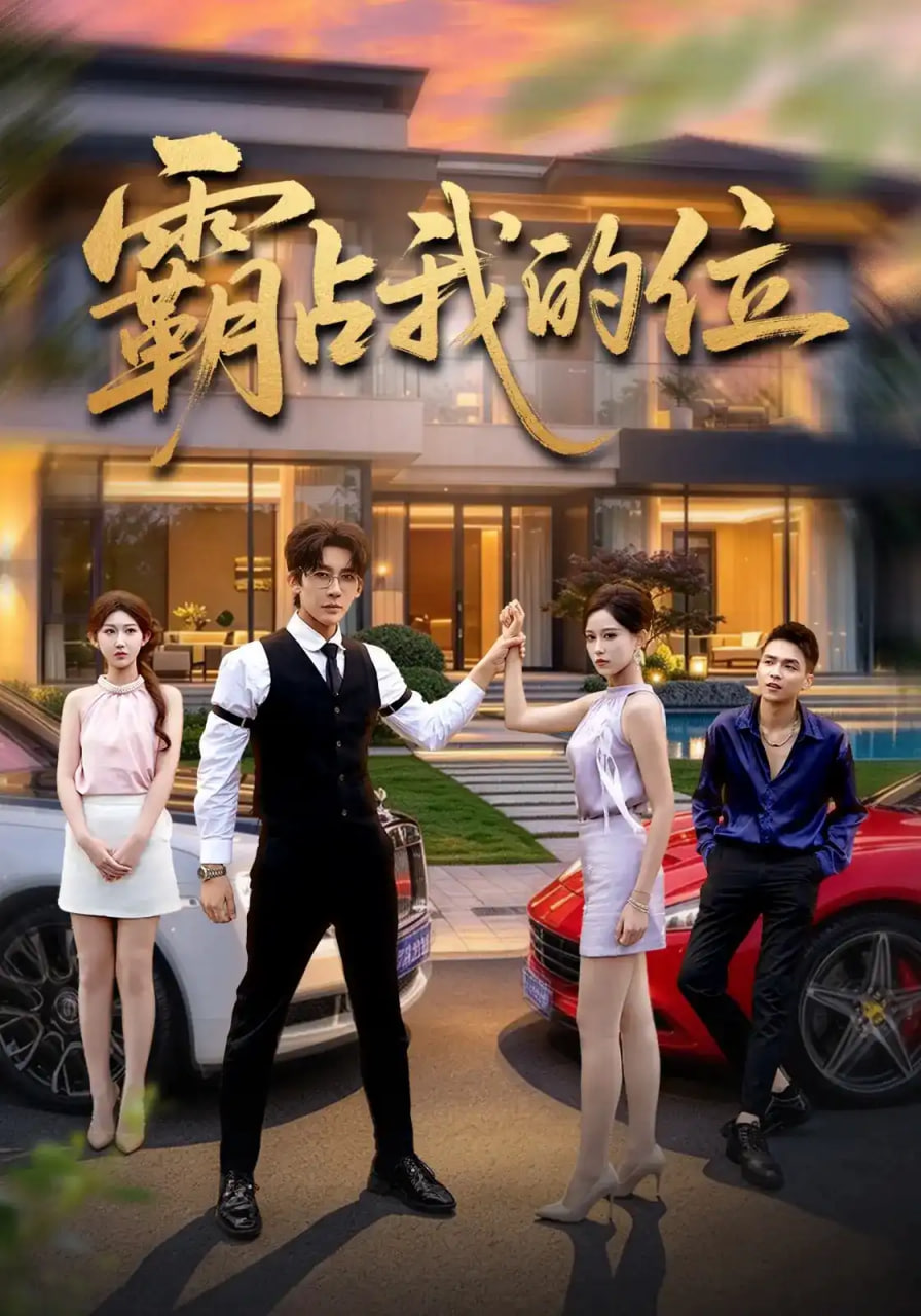 霸占我的位海报