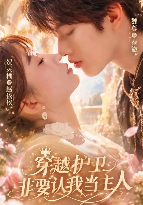 穿越护卫非要认我当主人海报