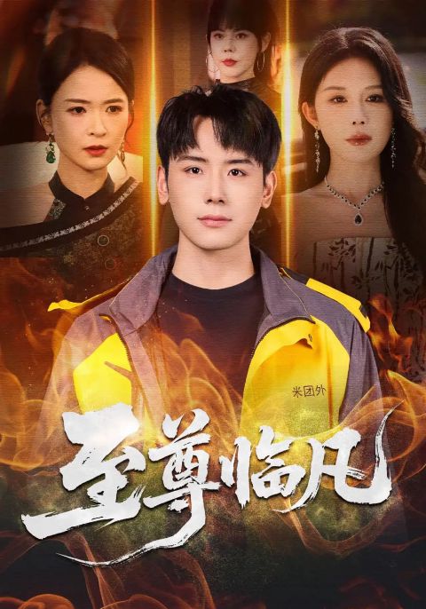 至尊临凡海报