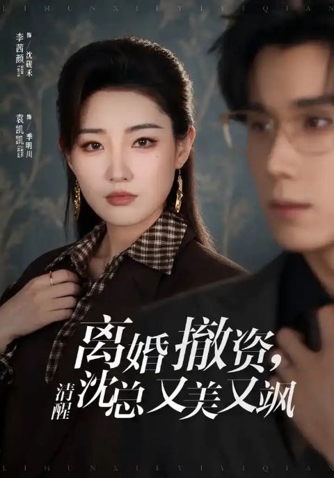 离婚撤资，清醒沈总又美又飒海报