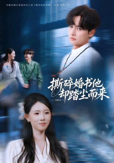 撕碎婚书他却踏尘而来海报